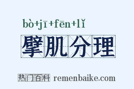 擘肌分理是什么意思的图片